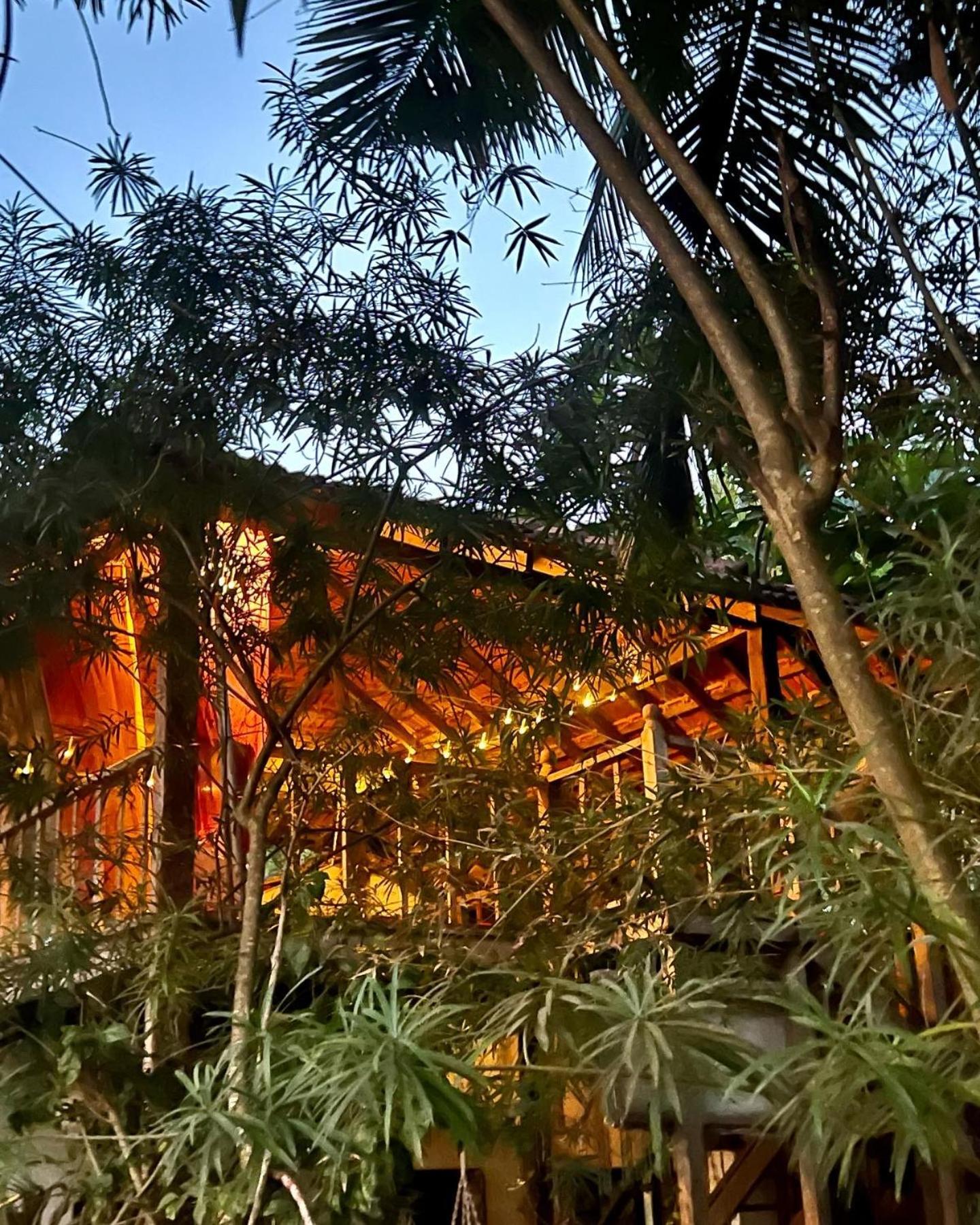 The Wild Flower! Anjuna Esterno foto